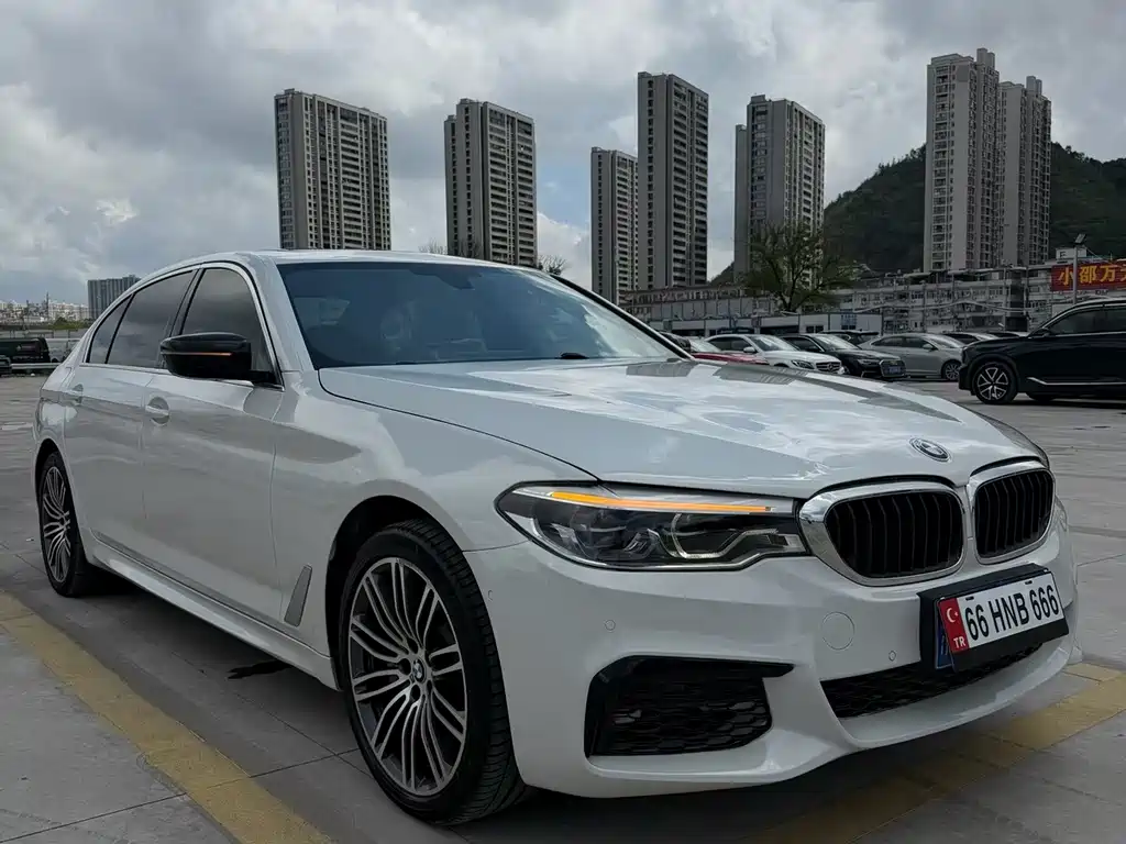 BMW 5 Series 5 2020 530Li Lead M Sport