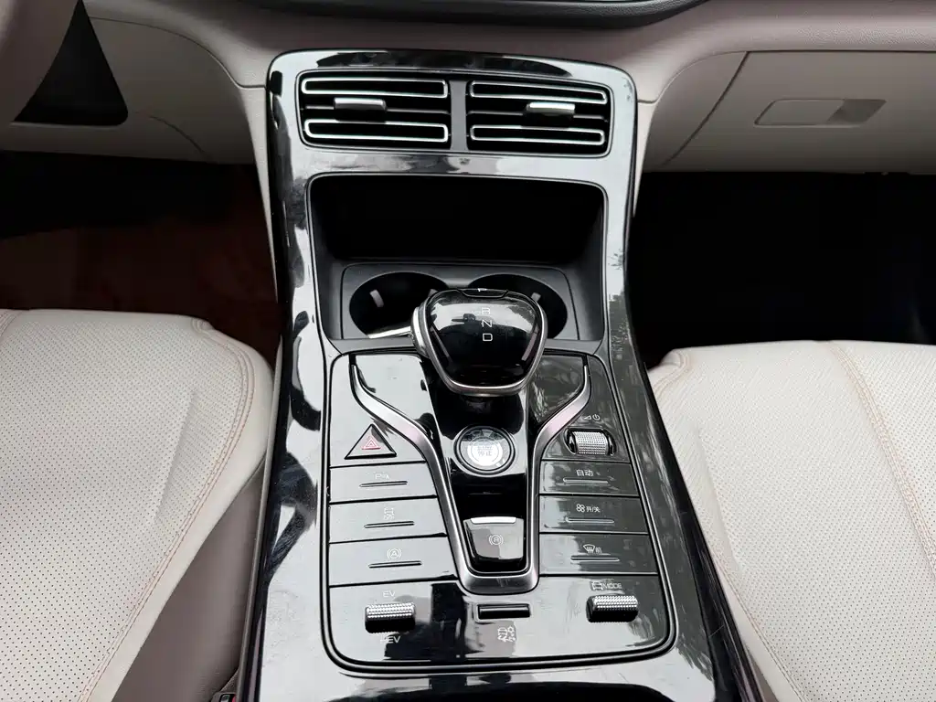 BYD Qin Plus PLUS 2024 DM-i 55KM Lead