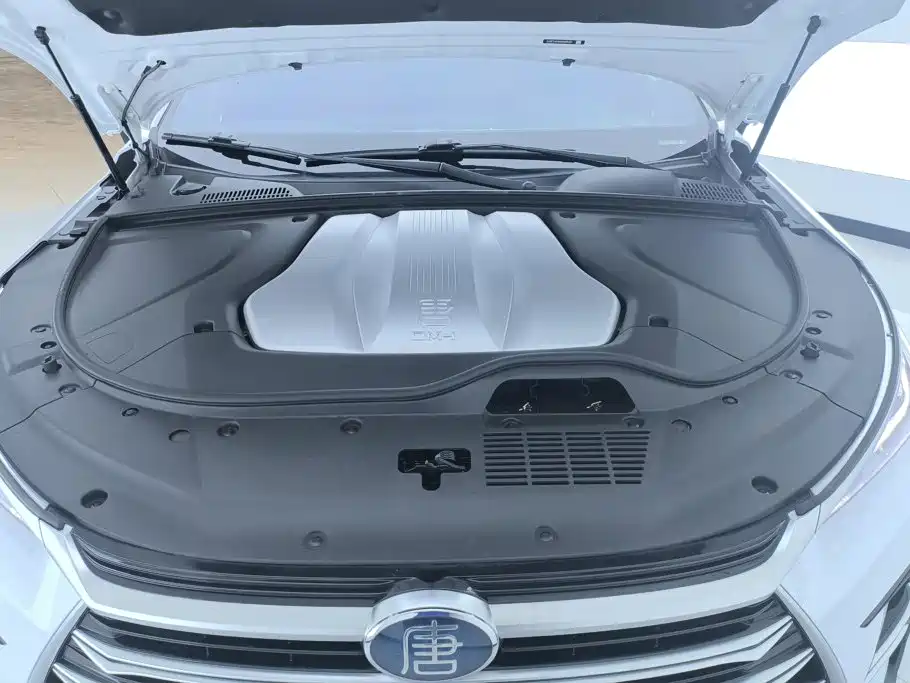 BYD Tang New Energy — миниатюра 10