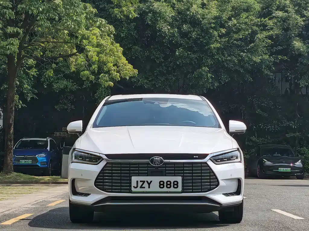 BYD Qin Pro NEV — миниатюра 2