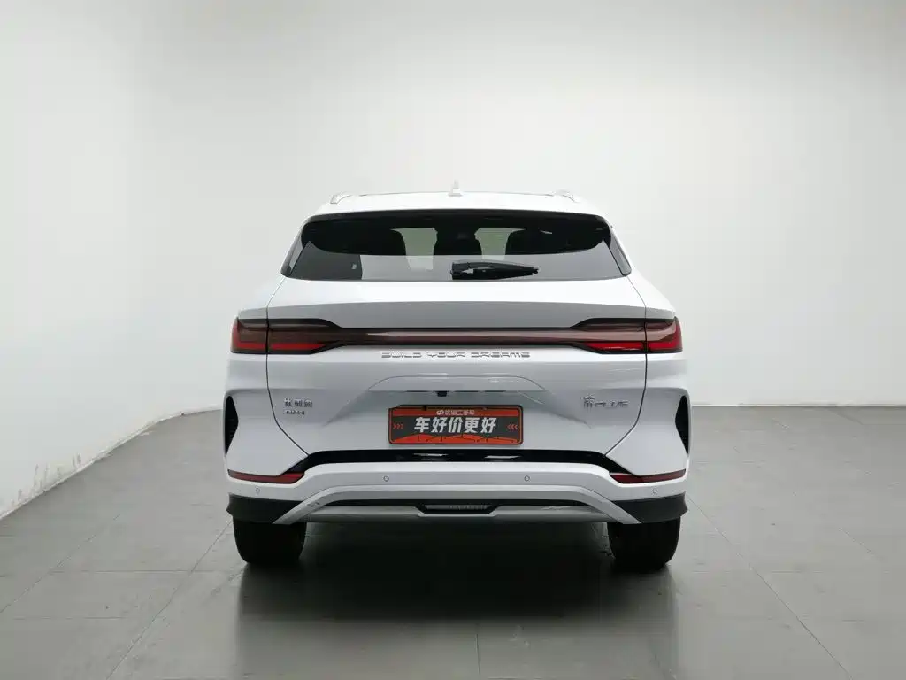 BYD PLUS New Energy — миниатюра 4