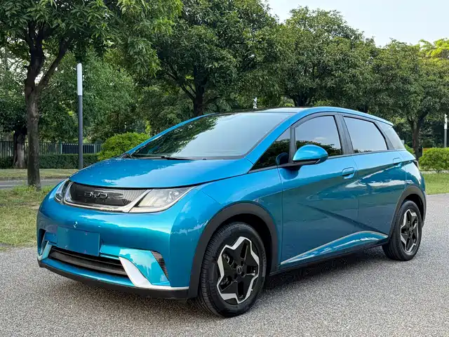 BYD Dolphin