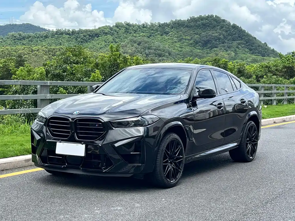 BMW X6 M