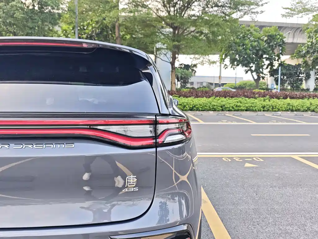 BYD Tang New Energy — миниатюра 30