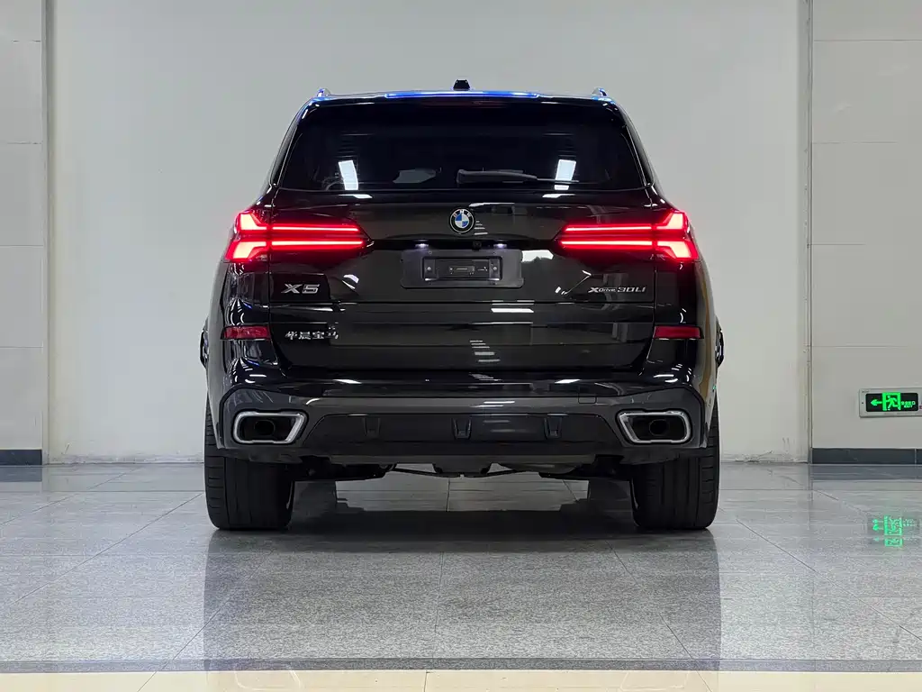 BMW X5 — миниатюра 5