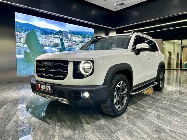 HAVAL BIG DOG 2021