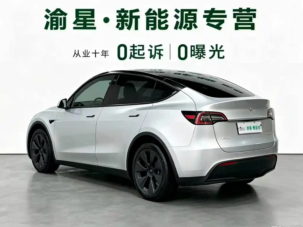Tesla Model Y — миниатюра 5