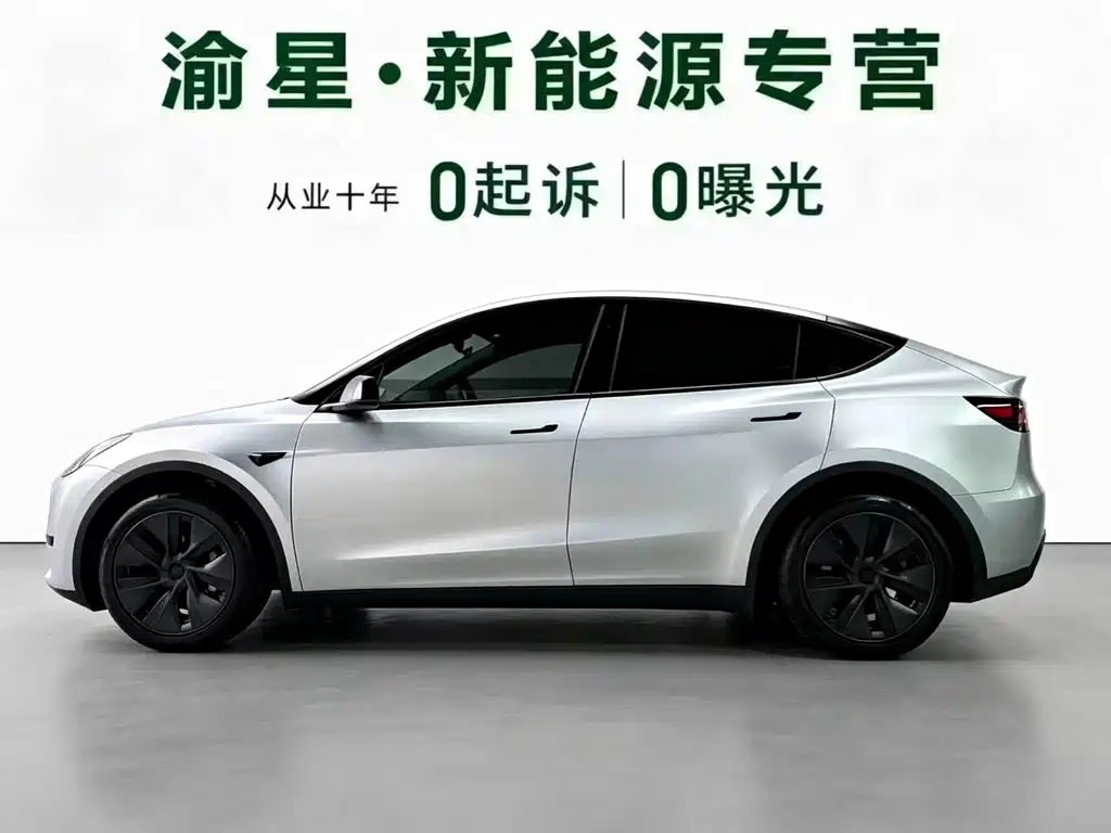 Tesla Model Y — миниатюра 4