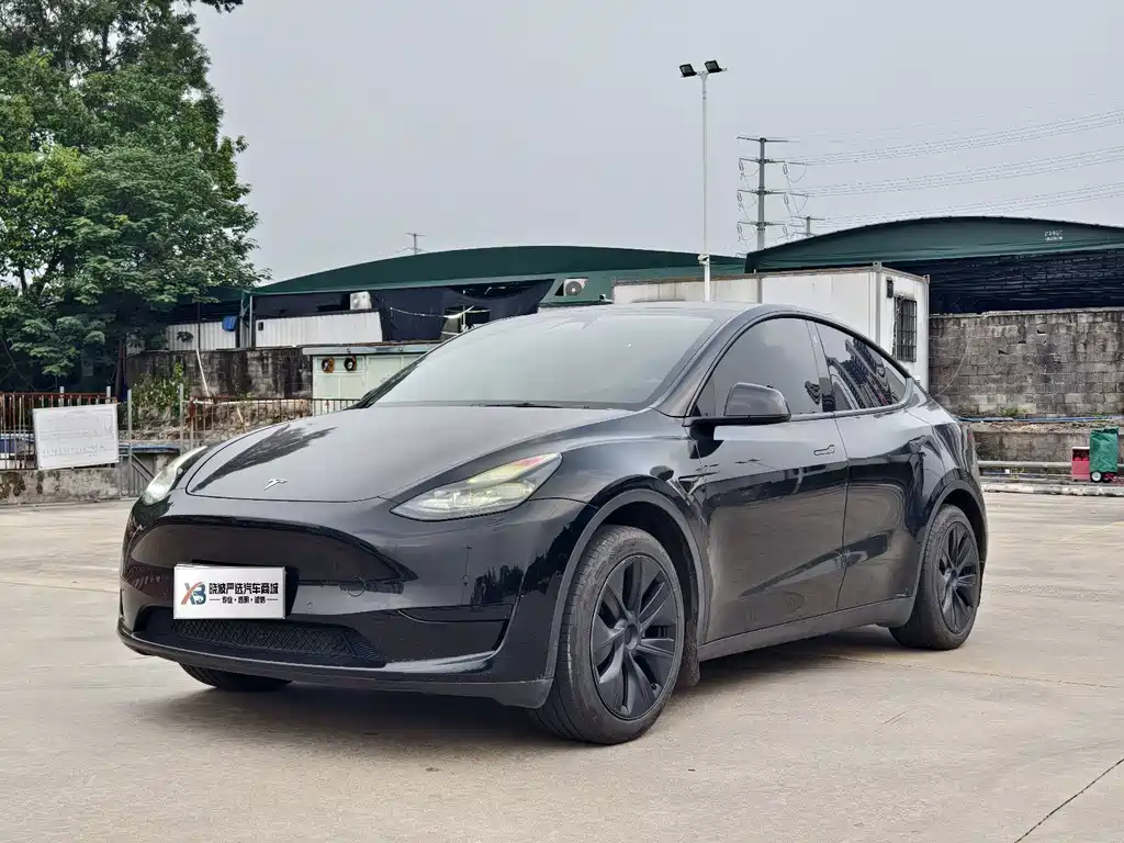 Tesla Model Y — фотографии объявления, Фото 2