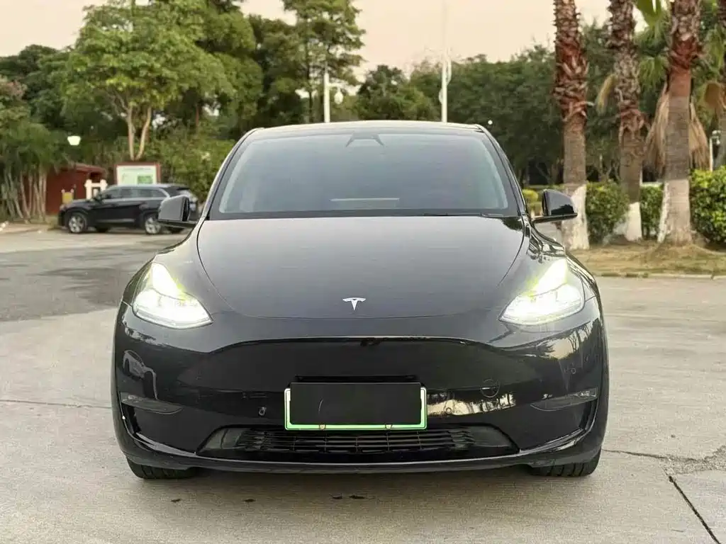 Tesla Model Y — миниатюра 2