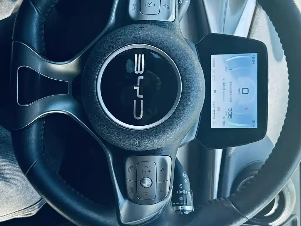 BYD Dolphin 2023 420km Fashion
