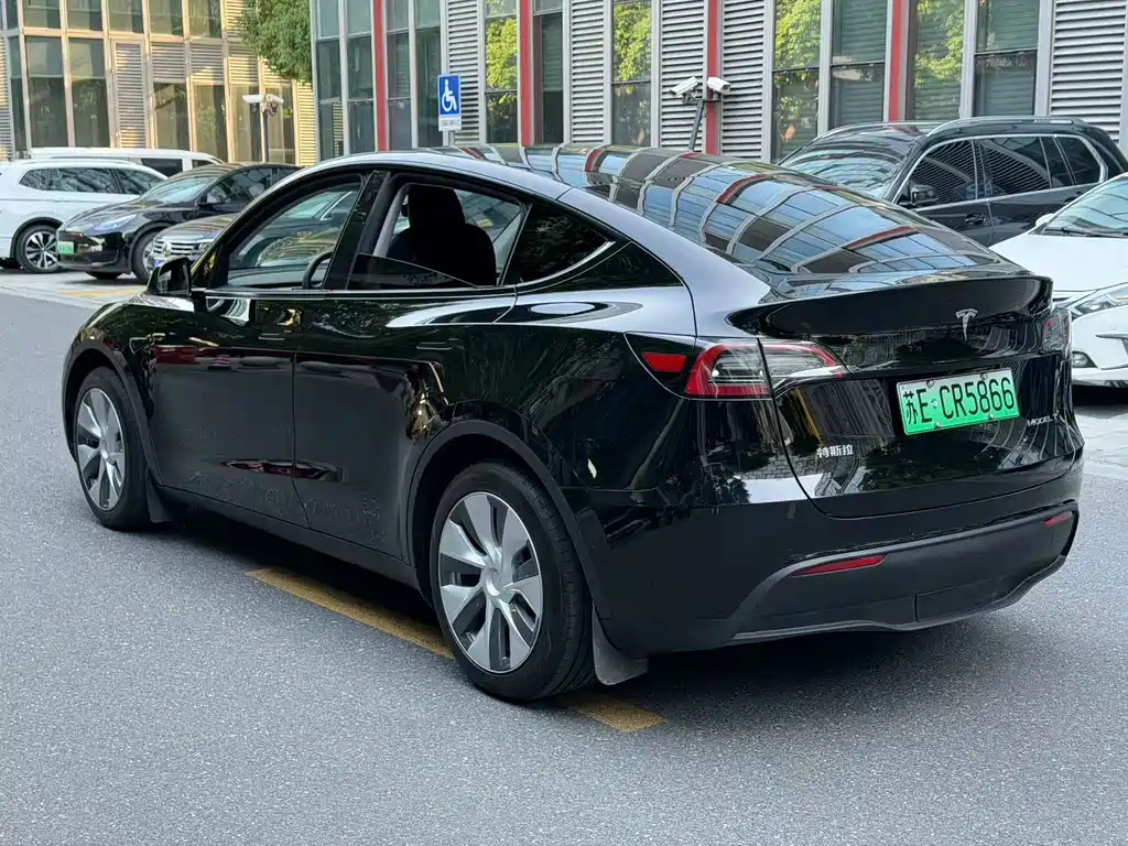 Tesla Model Y — миниатюра 9