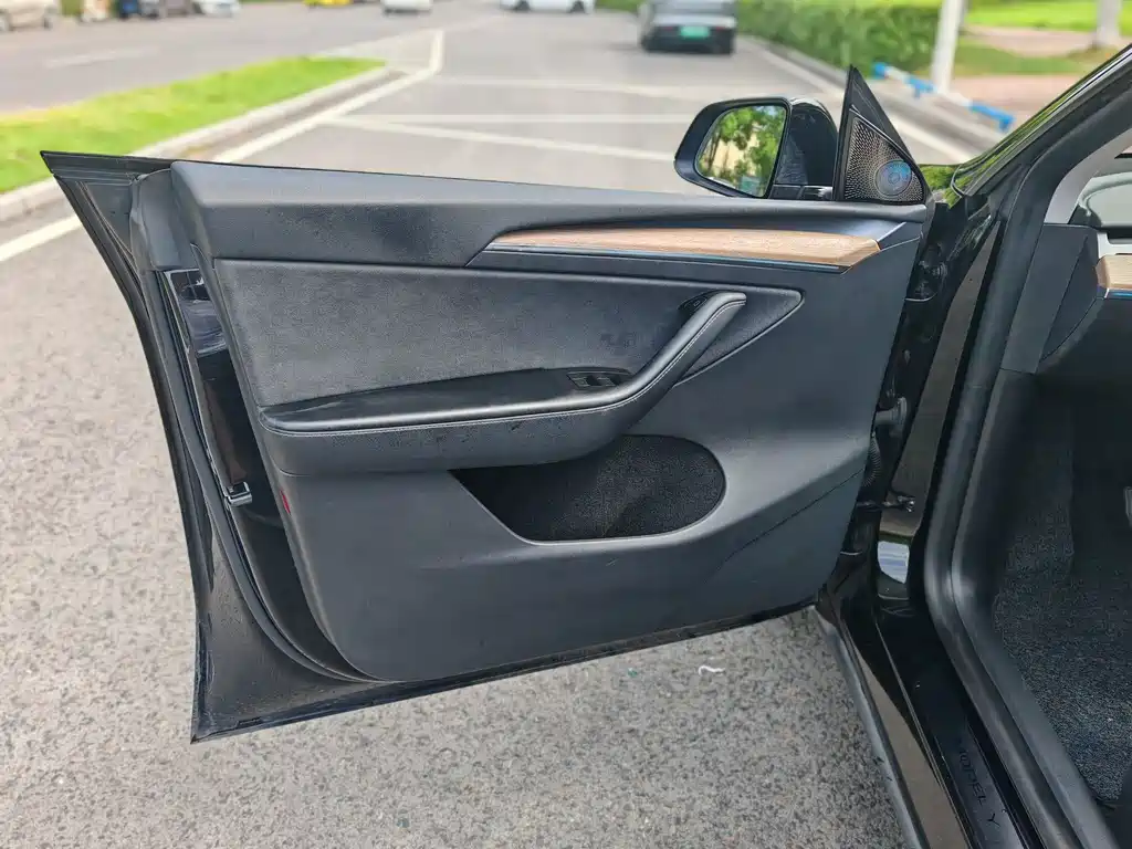 Tesla Model Y — миниатюра 4