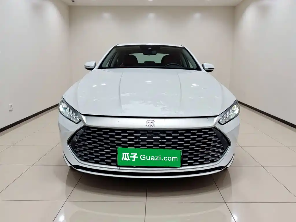 BYD Qin Plus PLUS 2023 Champion DM-i 55KM Lead