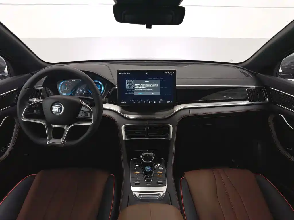 BYD PLUS — миниатюра 5