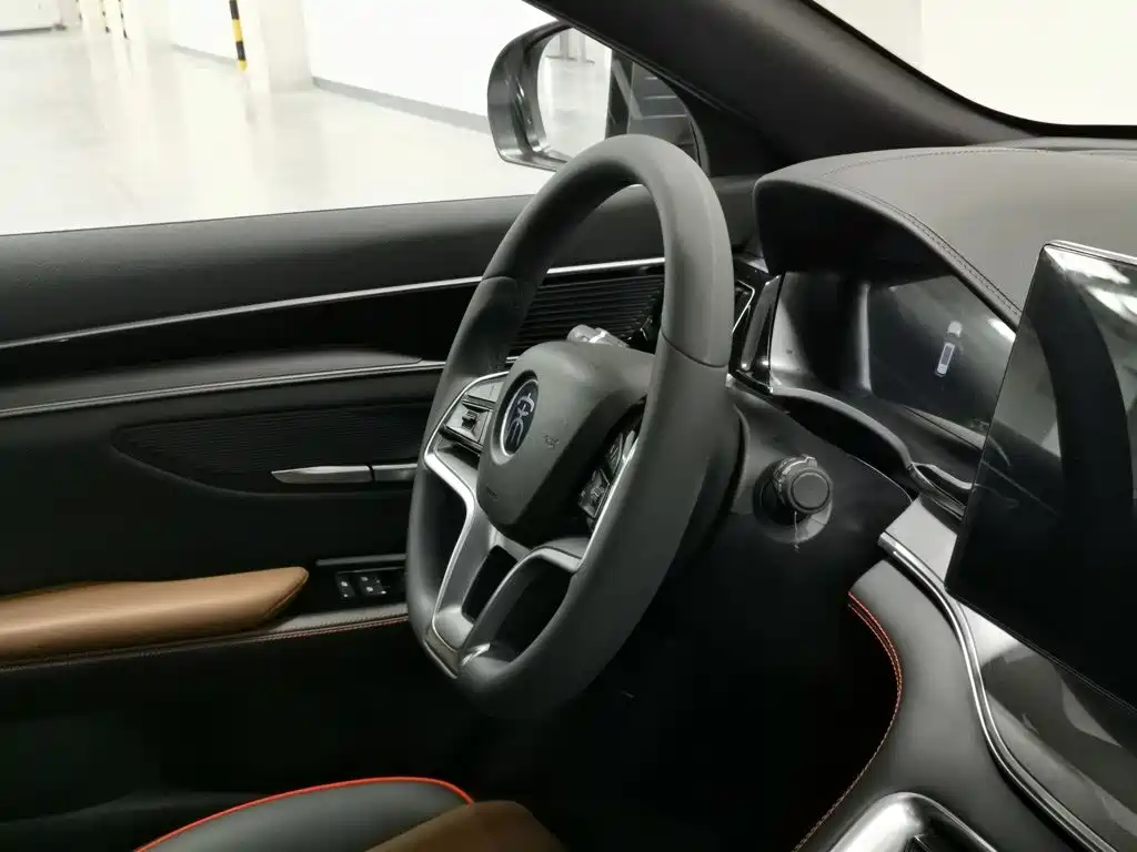 BYD PLUS — миниатюра 22