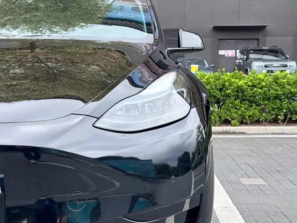Tesla Model Y — миниатюра 4