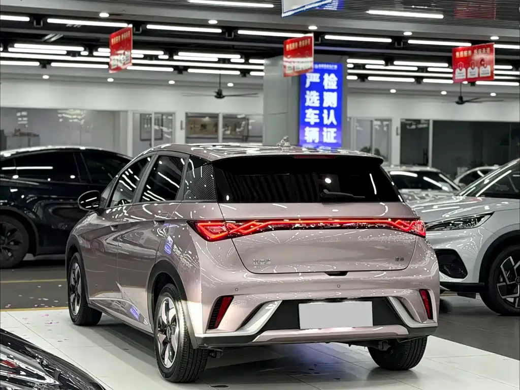 BYD Dolphin 2024 420km Fashion