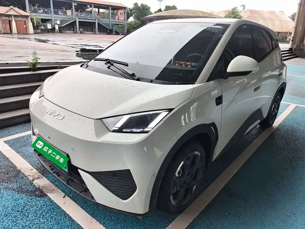 Byd Seagull 2025