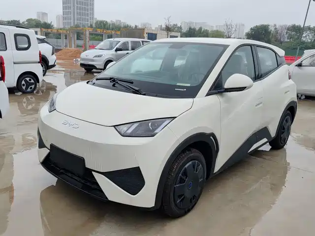 2026 BYD Seagull