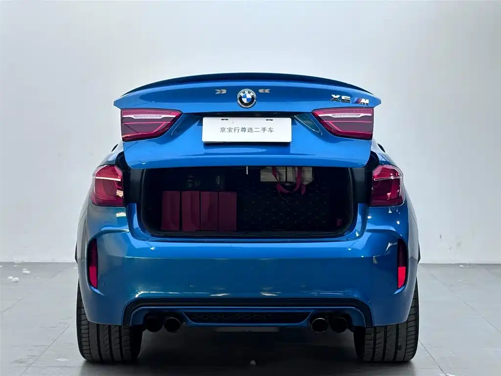 BMW X6 M — миниатюра 6