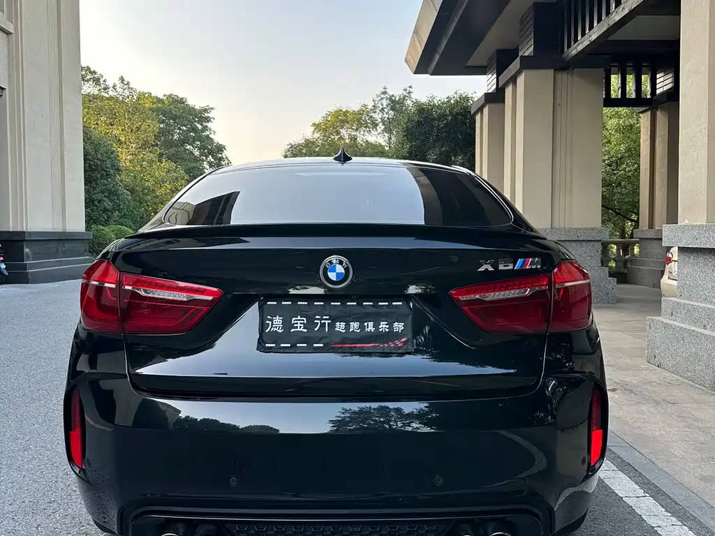 BMW X6 M