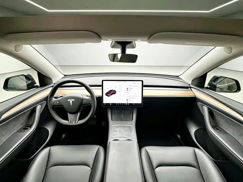 Tesla Model Y — миниатюра 5