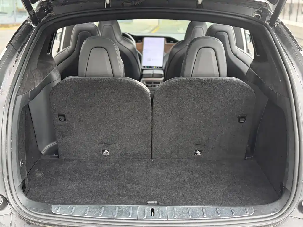 Tesla Model X — миниатюра 9