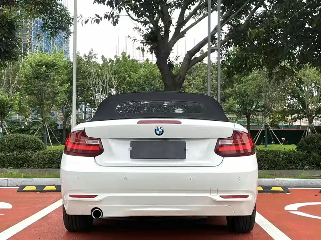 BMW 2 Series (Import) — миниатюра 7