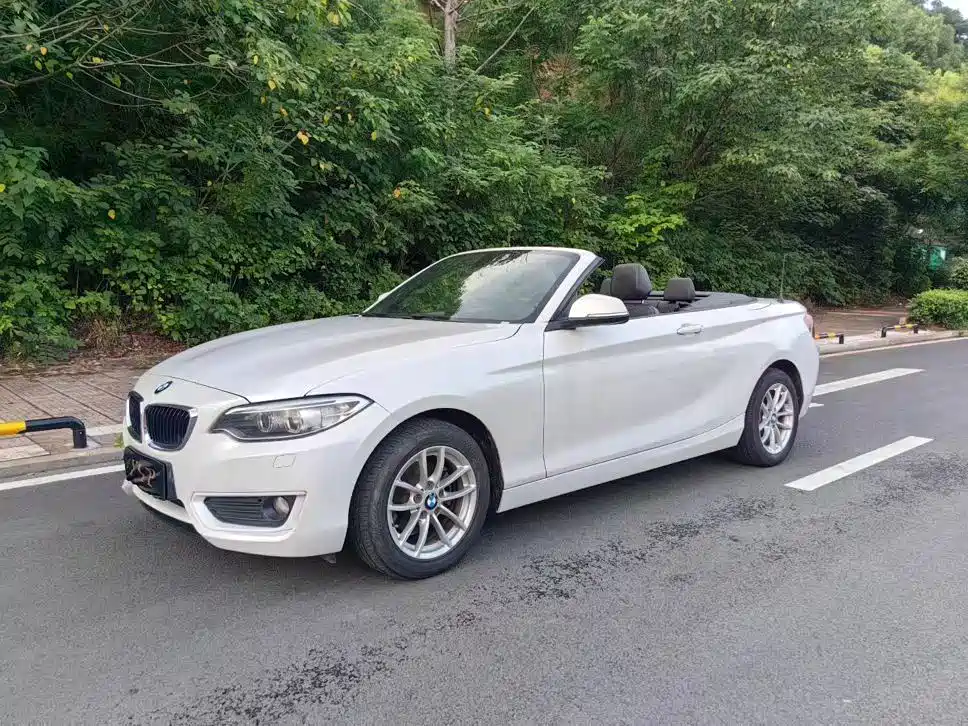 BMW 2 Series (Import)