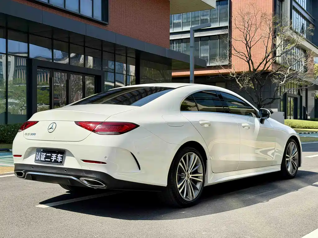 Mercedes-Benz CLS 2020 CLS 300