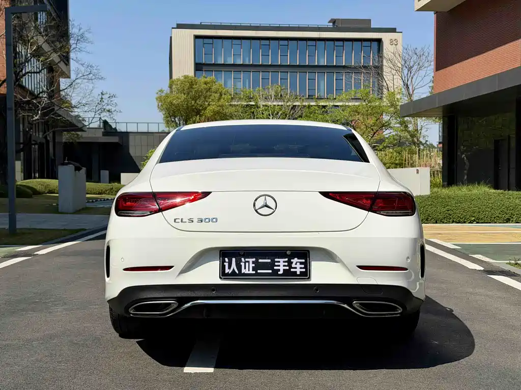 Mercedes-Benz CLS 2020 CLS 300