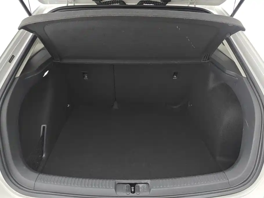 Volkswagen Gran Lavida — миниатюра 4