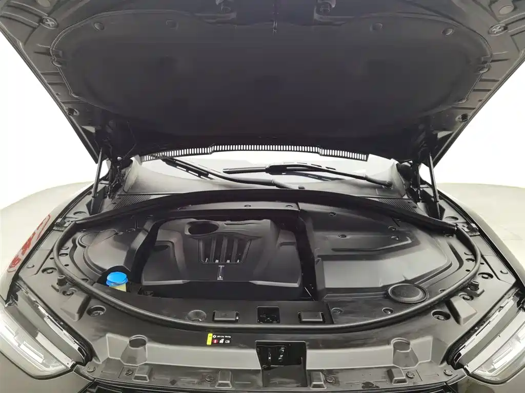 WEI PAI WEI BRAND VV7