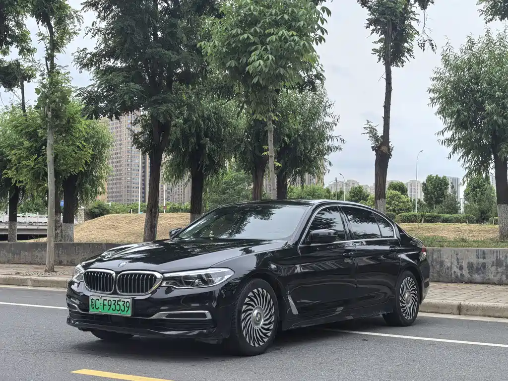 BMW 5 Series New Energy 2019