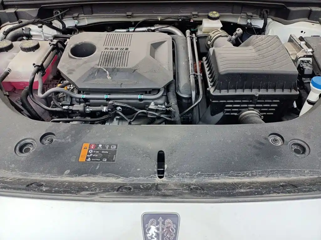 Roewe D5X DMH — миниатюра 21