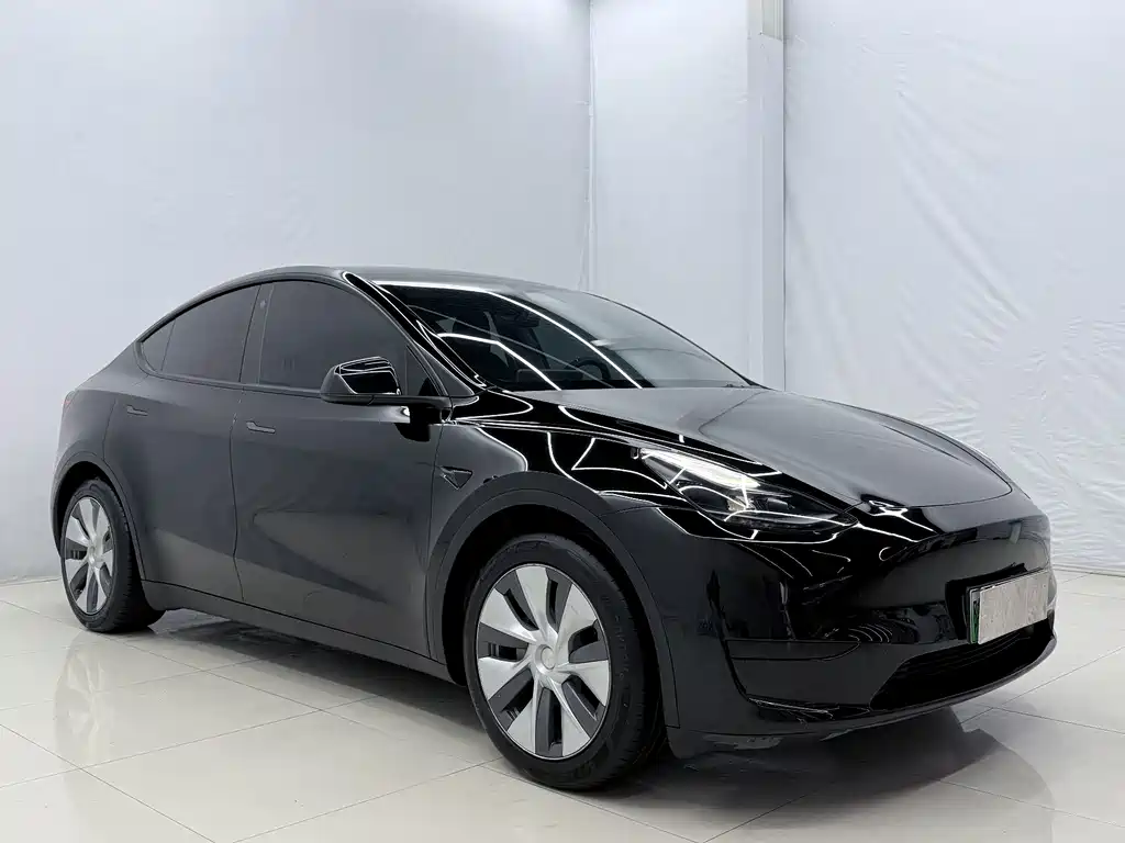 Tesla Model Y — миниатюра 3