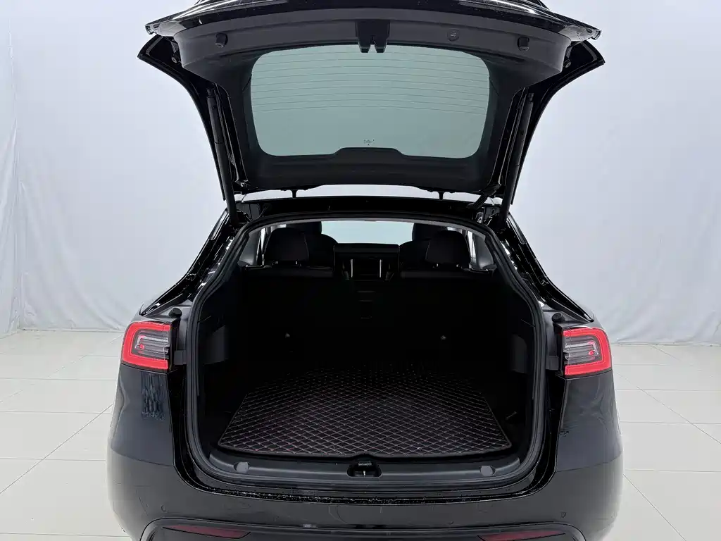 Tesla Model Y — миниатюра 15