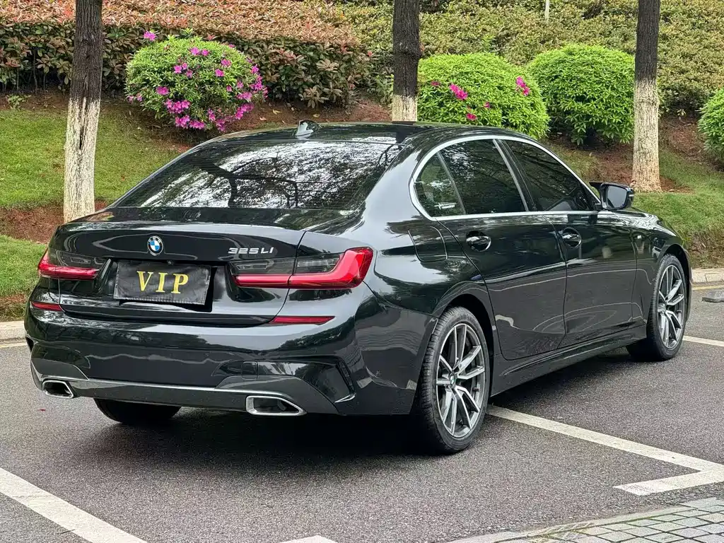 BMW 3 Series 3 2020 325Li M Sport
