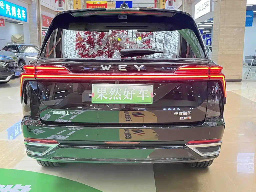 WEI PAI WEI BRAND BLUE MOUNTAIN