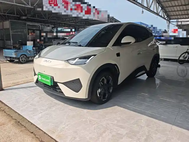 2025 BYD Seagull