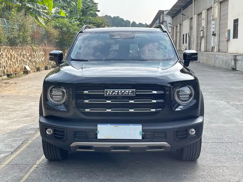 HAVAL BIG DOG