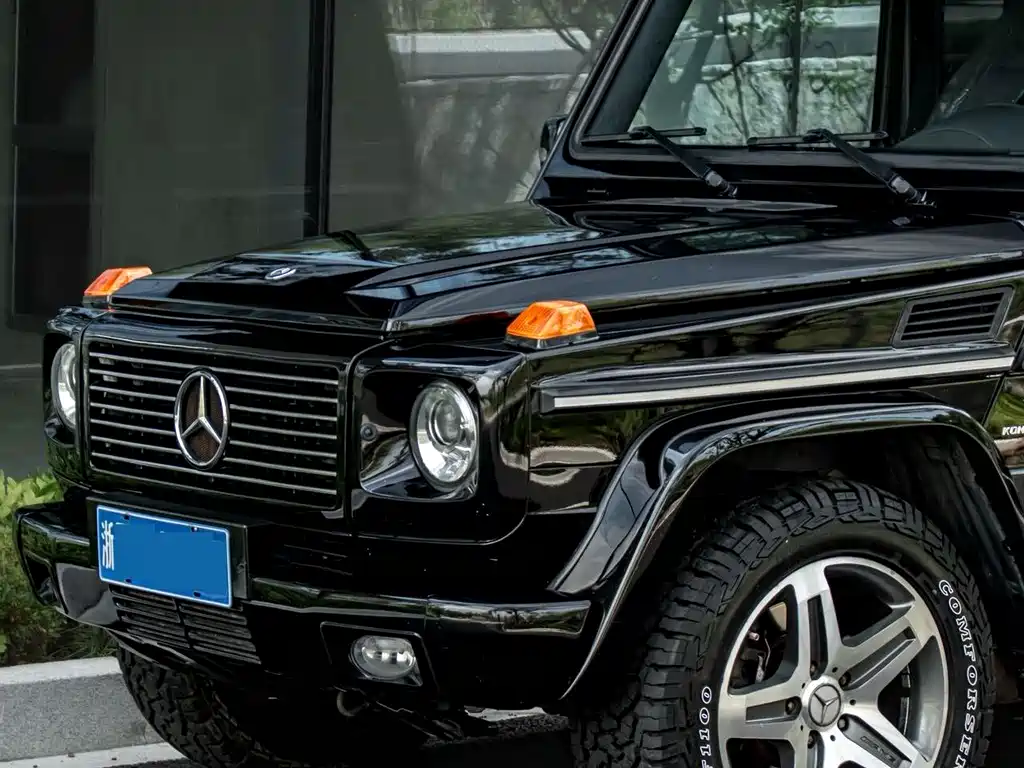 Mercedes-Benz G-Class A MG G AMG 2009 AMG G 55