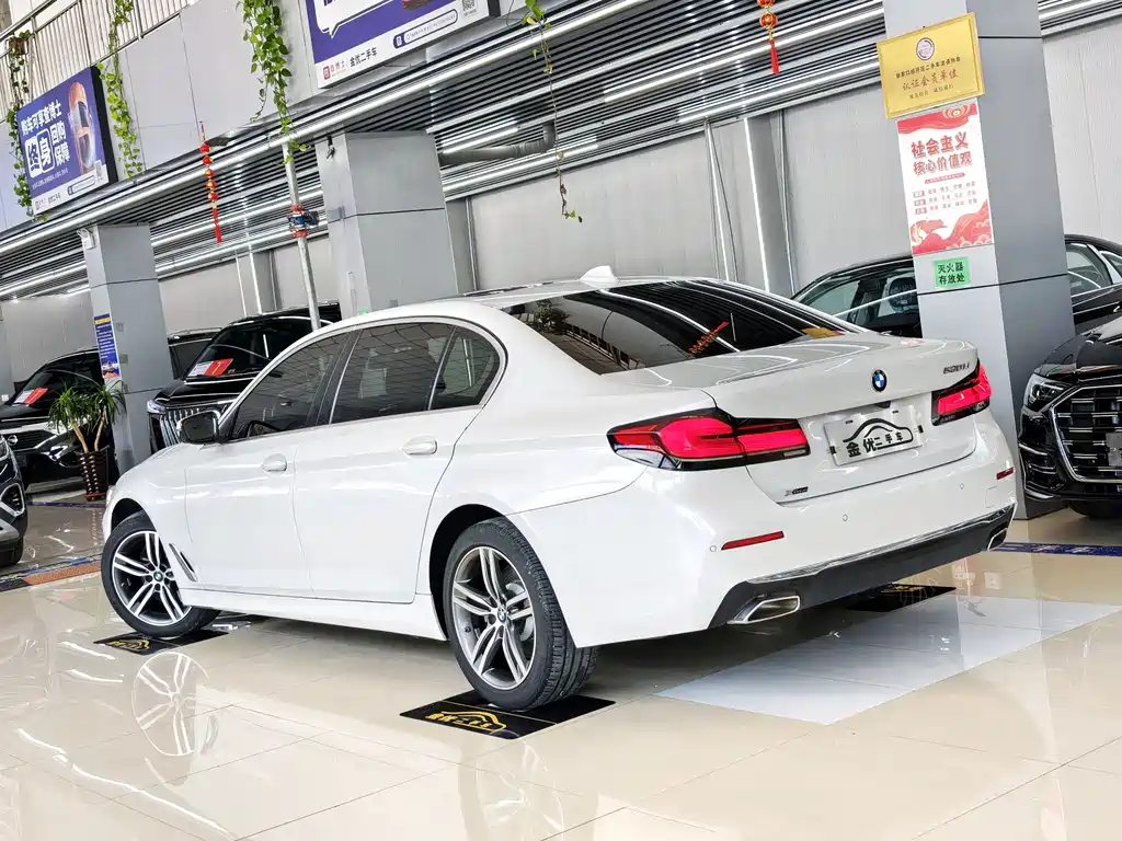 BMW 5 Series 5 2021 530Li xDrive Luxury