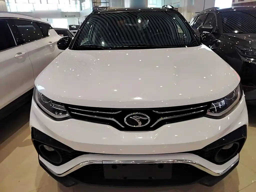 Soueast DX5 — миниатюра 3