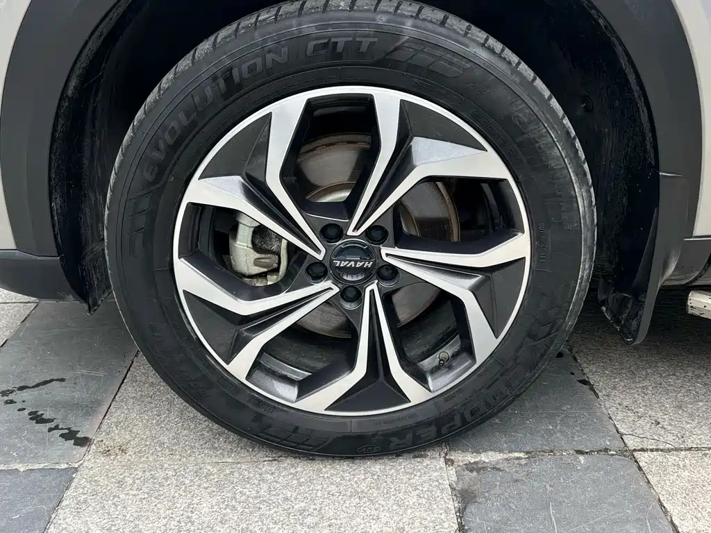 Haval Shenshou — миниатюра 8