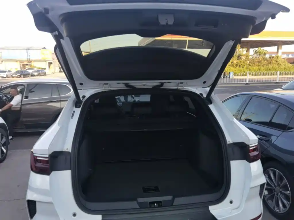 BYD PLUS — миниатюра 19