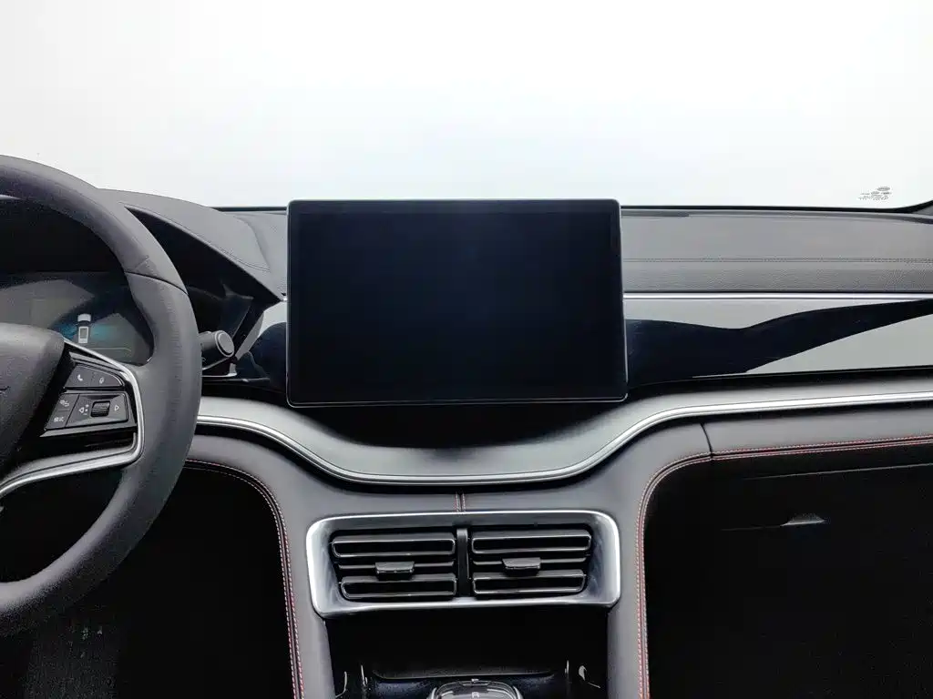 BYD PLUS — миниатюра 12