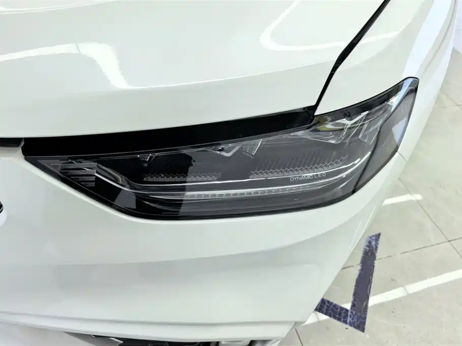 WEI PAI WEI BRAND VV5