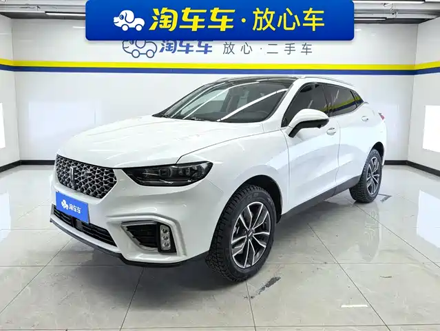 WEI PAI WEI BRAND VV5 2021